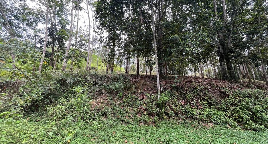 For sale land in Takua Thung, Phang Nga