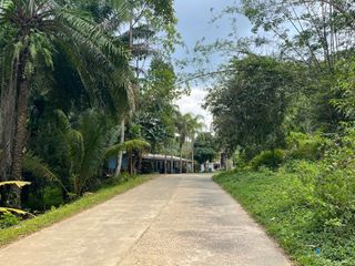 出售 土地 在 Takua Thung, Phangnga