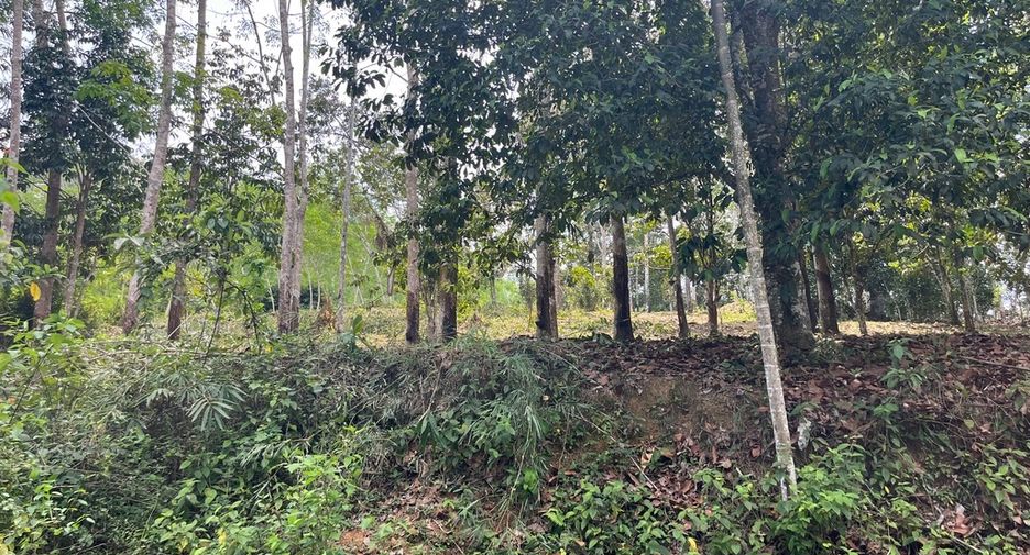 For sale land in Takua Thung, Phang Nga