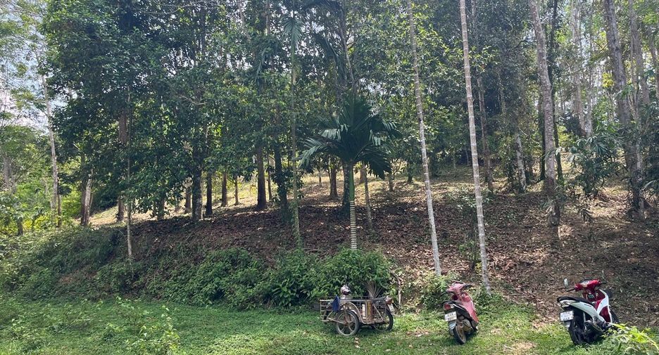 For sale land in Takua Thung, Phang Nga