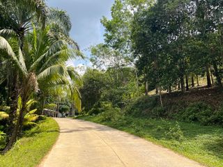 出售 土地 在 Takua Thung, Phangnga