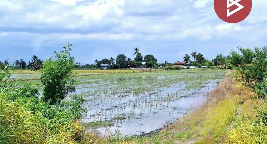 For sale land in Mueang Suphanburi, Suphan Buri