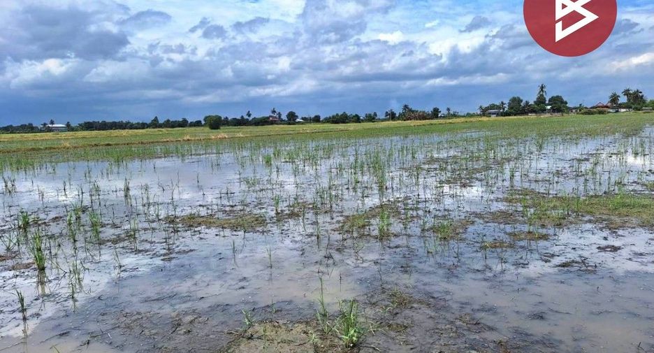 For sale land in Mueang Suphanburi, Suphan Buri