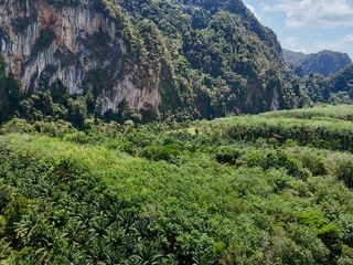 出售 土地 在 Mueang Krabi, Krabi