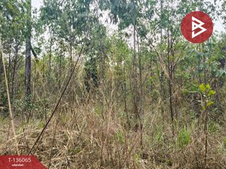 À vendre terrain à Phanat Nikhom, Chonburi