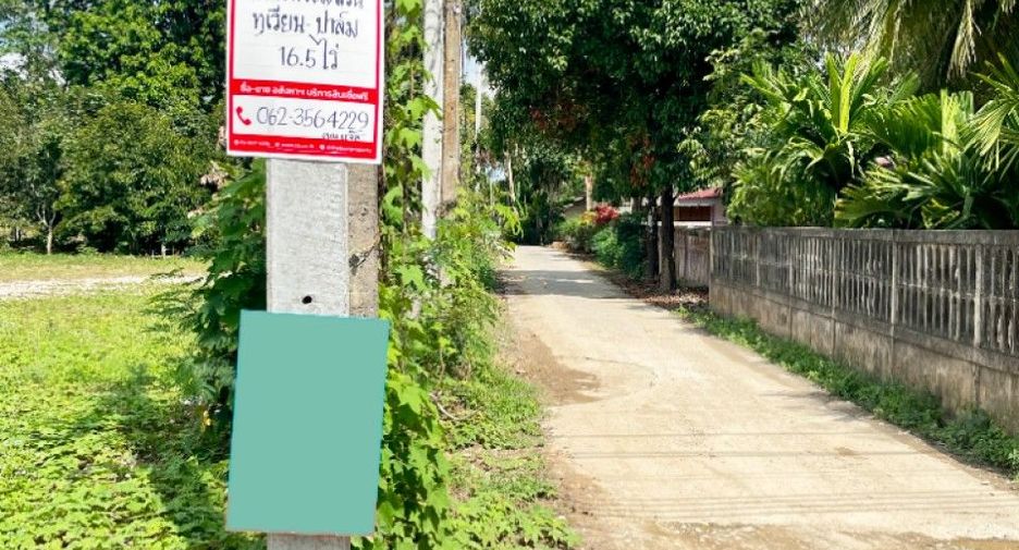 For sale land in Nopphitam, Nakhon Si Thammarat