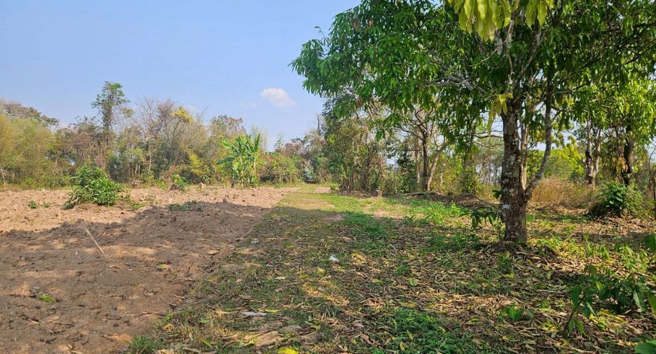 Terreno en venta en Mae Lao, Chiang Rai