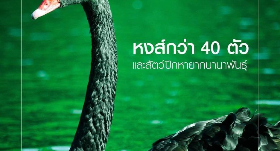 For sale 2 bedrooms condo in Pak Chong, Nakhon Ratchasima