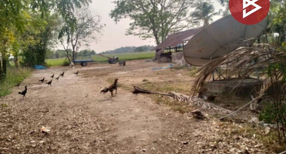 出售 土地 在 Selaphum, Roi Et