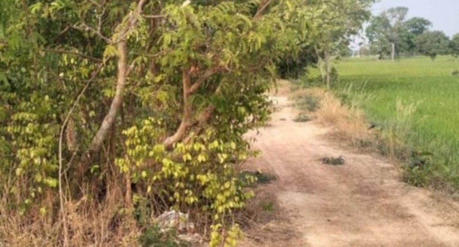出售 土地 在 Selaphum, Roi Et