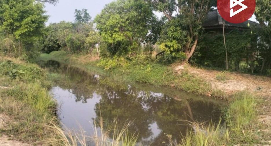 出售 土地 在 Selaphum, Roi Et