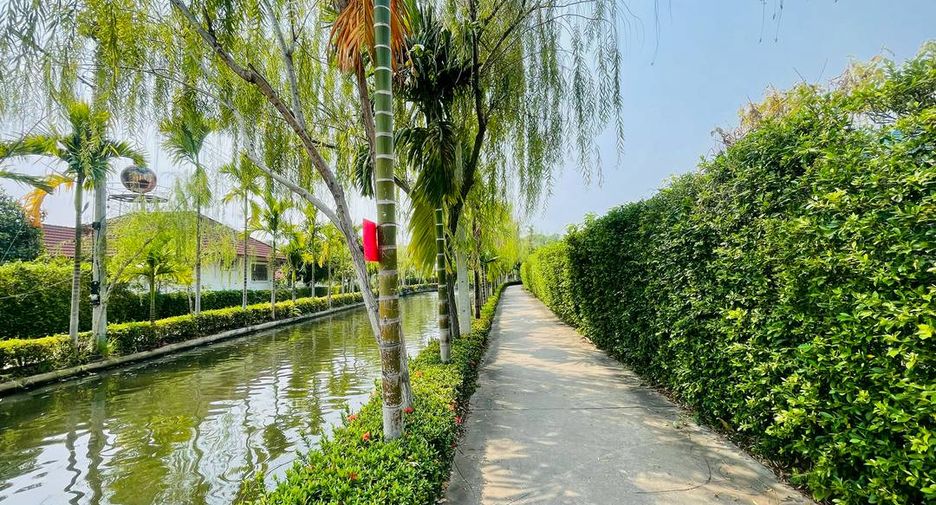 Grundstück zum Kauf in San Sai, Chiang Mai