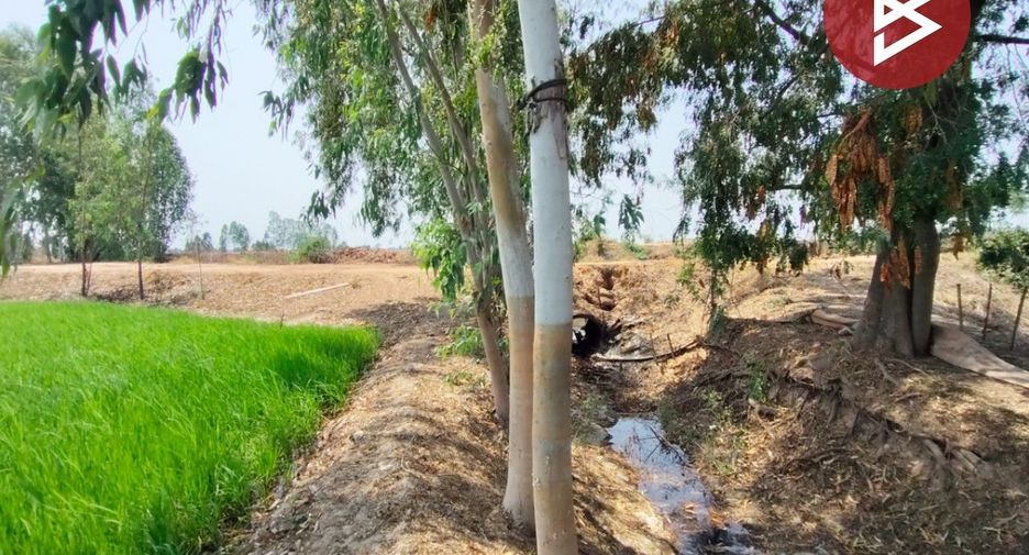 For sale land in Phichai, Uttaradit
