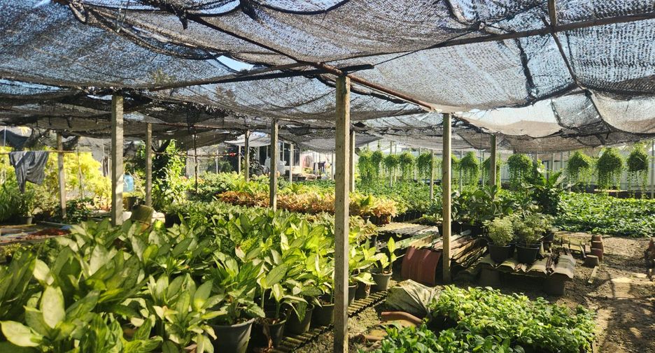Продажа студия дом в Bang Len, Накхонпатхом