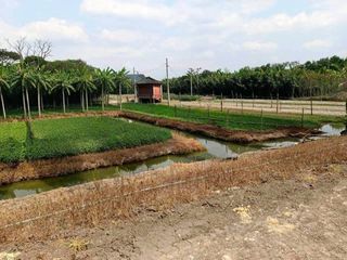 出售 土地 在 Bang Yai, Nonthaburi