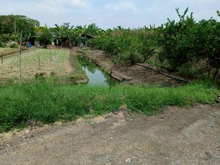 出售 土地 在 Bang Yai, Nonthaburi