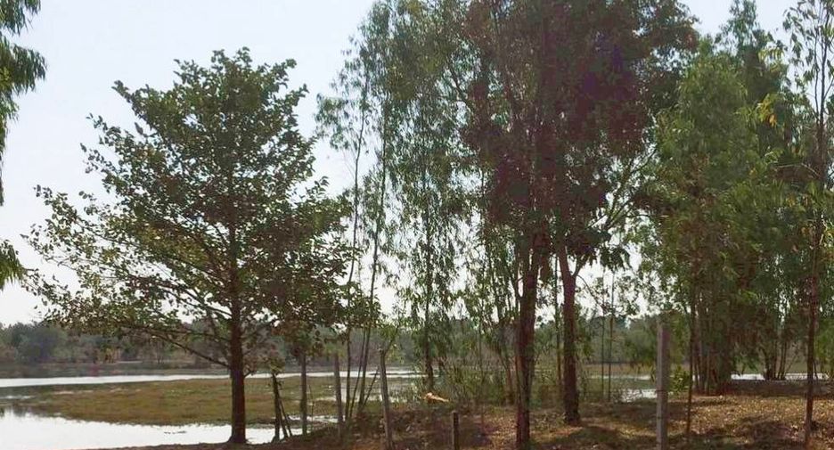Grundstück zum Kauf in Phon Thong, Roi Et