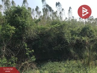 出售 土地 在 Plaeng Yao, Chachoengsao