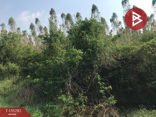 出售 土地 在 Plaeng Yao, Chachoengsao