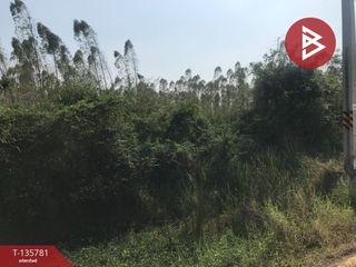 出售 土地 在 Plaeng Yao, Chachoengsao