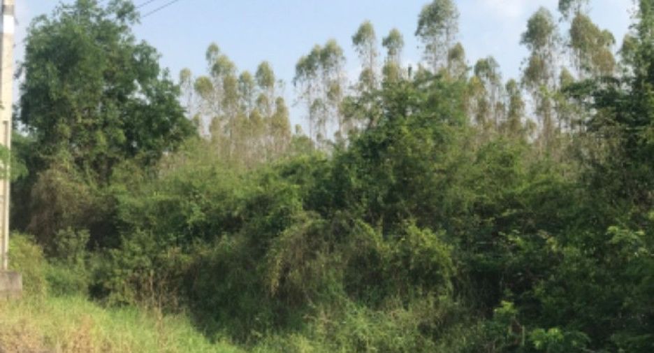 Terreno en venta en Plaeng Yao, Chachoengsao