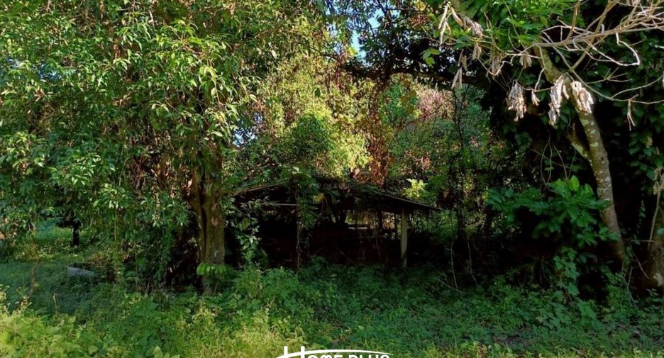 Grundstück zum Kauf in Mueang Nakhon Nayok, Nakhon Nayok