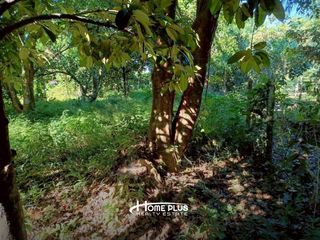For sale land in Mueang Nakhon Nayok, Nakhon Nayok