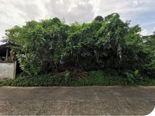 出售 土地 在 Phibun Mangsahan, Ubon Ratchathani