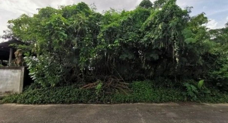 For sale land in Phibun Mangsahan, Ubon Ratchathani