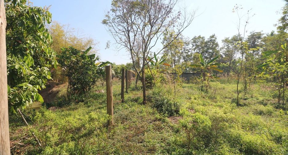 Haus zum Kauf mit 3 Zimmer in Mueang Udon Thani, Udon Thani