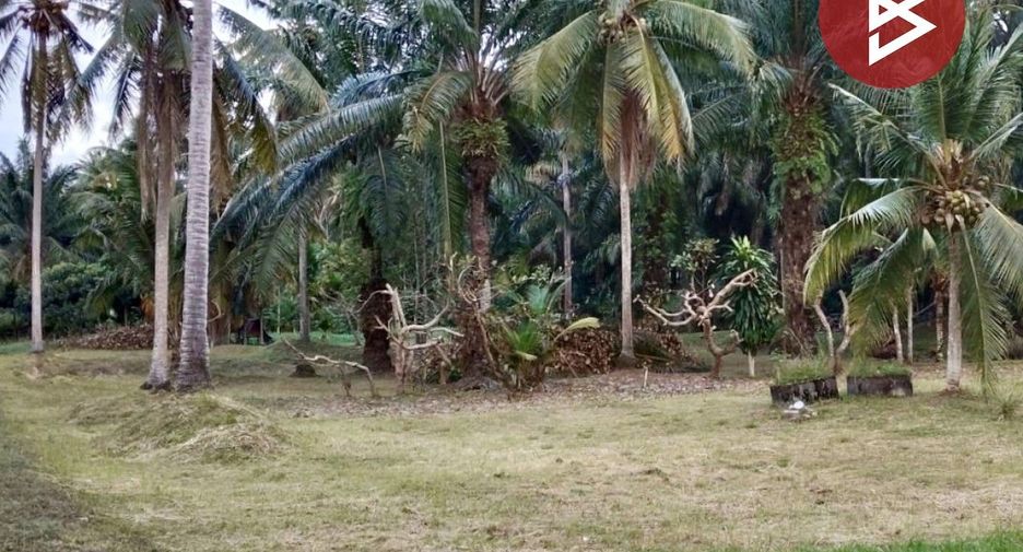 For sale 5 bedrooms house in Tha Sala, Nakhon Si Thammarat