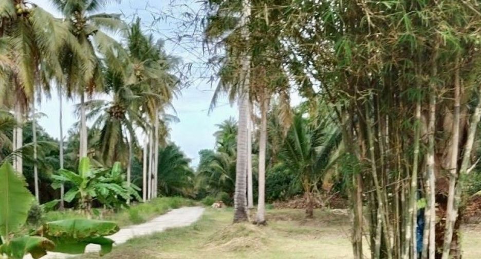 For sale 5 bedrooms house in Tha Sala, Nakhon Si Thammarat
