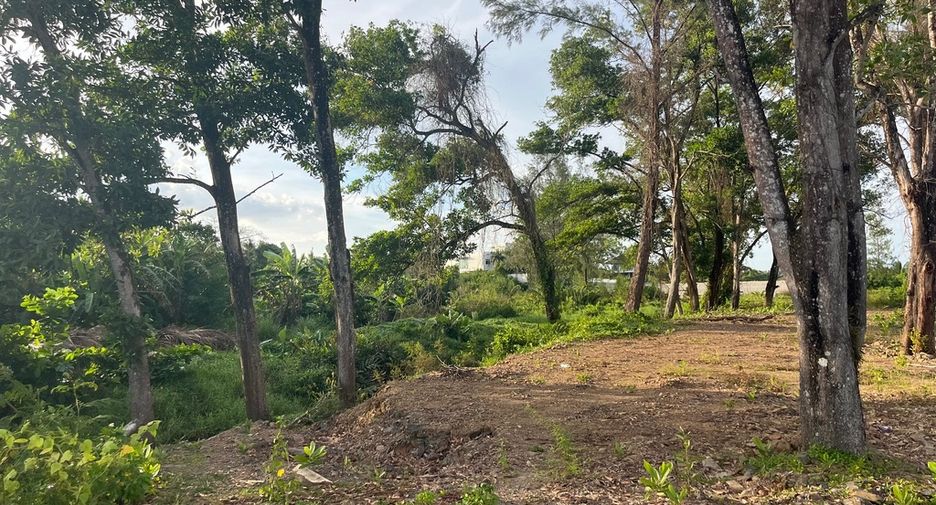 ขาย ที่ดิน ใน ตะกั่วทุ่ง, พังงา