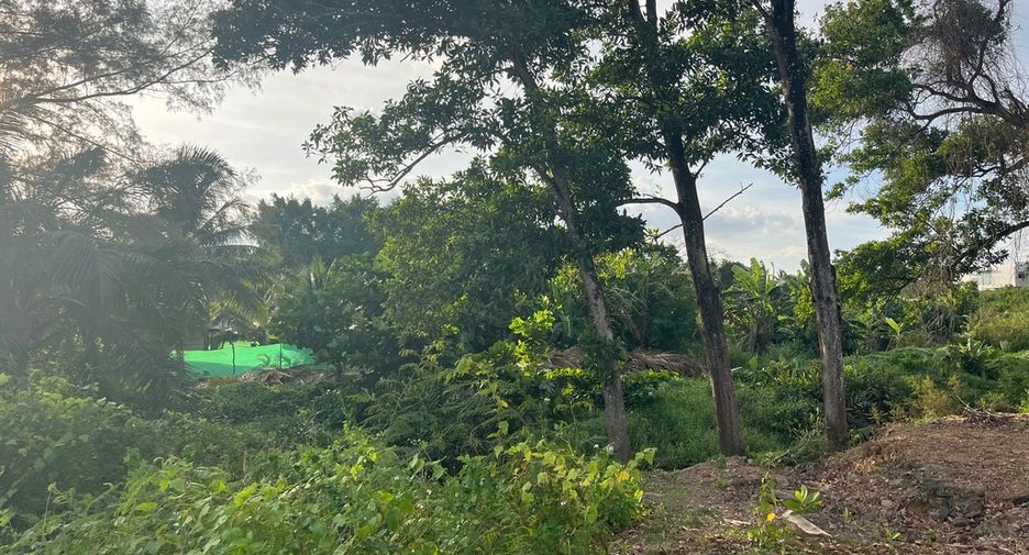 ขาย ที่ดิน ใน ตะกั่วทุ่ง, พังงา