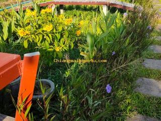 For rent 1 bed house in Saraphi, Chiang Mai