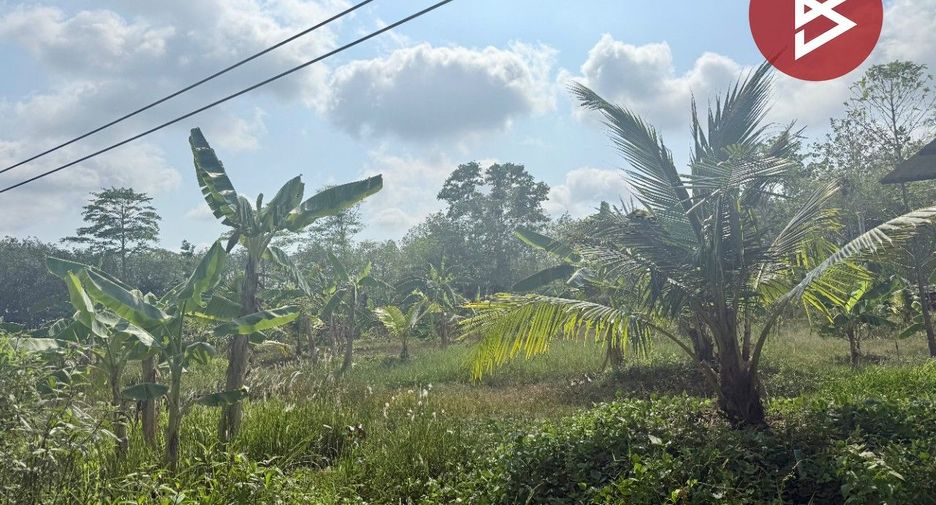 Terreno en venta en Na Yai Am, Chanthaburi