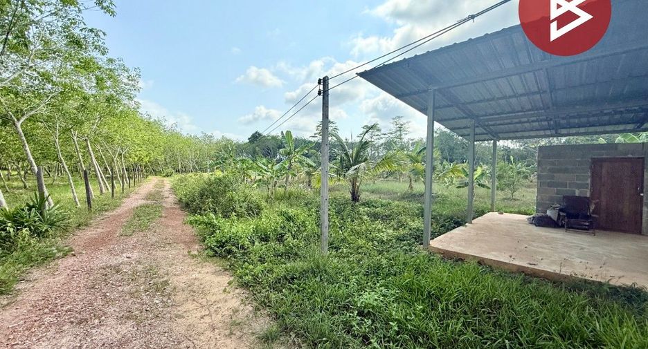 Terreno en venta en Na Yai Am, Chanthaburi
