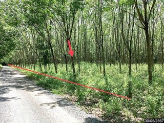 For sale land in Mueang Nongbua Lamphu, Nong Bua Lamphu