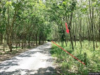 For sale land in Mueang Nongbua Lamphu, Nong Bua Lamphu