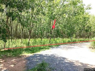 For sale land in Mueang Nongbua Lamphu, Nong Bua Lamphu