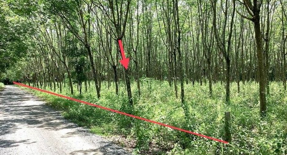 For sale land in Mueang Nongbua Lamphu, Nong Bua Lamphu