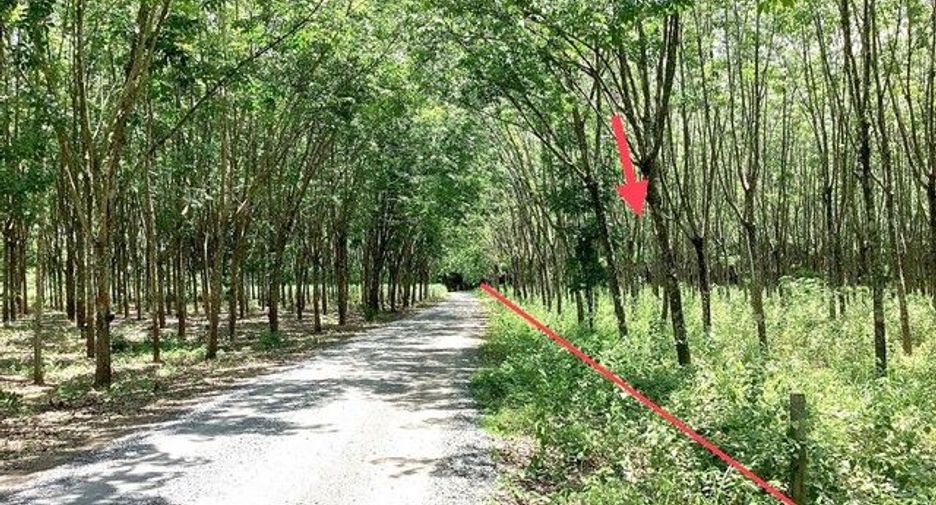 For sale land in Mueang Nongbua Lamphu, Nong Bua Lamphu