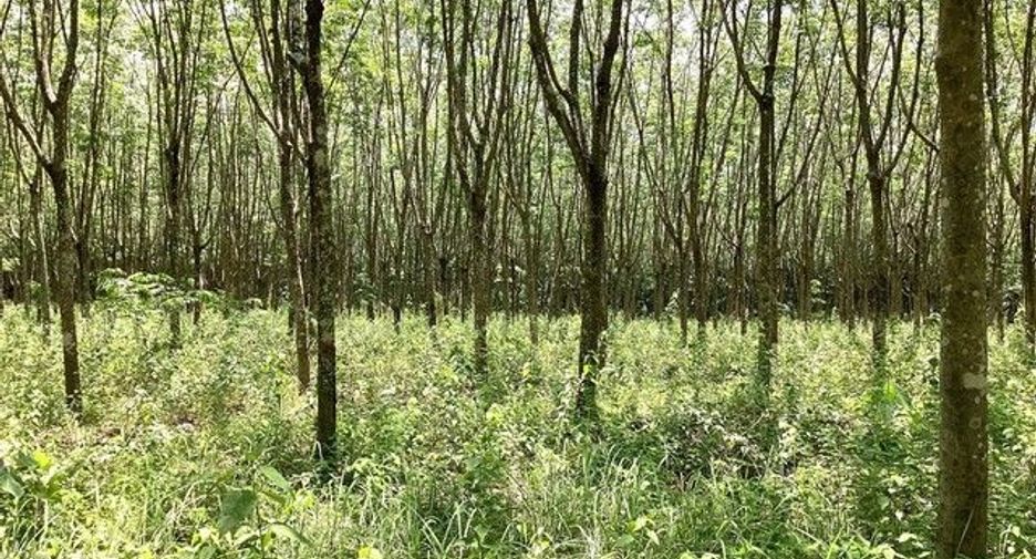 For sale land in Mueang Nongbua Lamphu, Nong Bua Lamphu