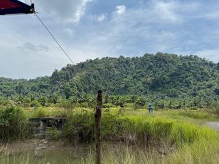 ขาย ที่ดิน ใน เมืองพังงา, พังงา