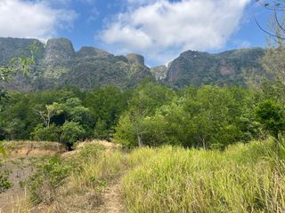 ขาย ที่ดิน ใน เมืองพังงา, พังงา