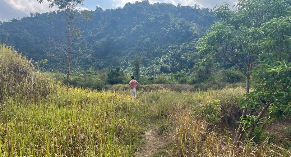 For sale land in Mueang Phangnga, Phang Nga