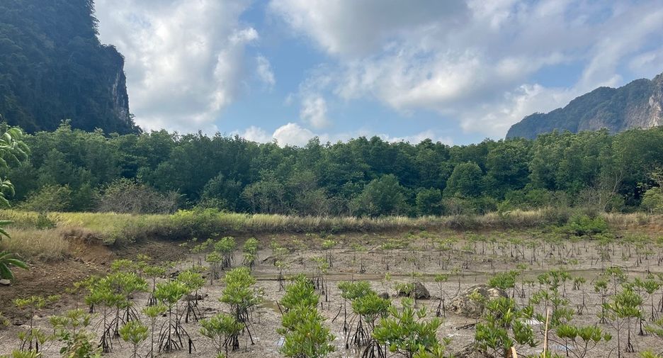 For sale land in Mueang Phangnga, Phang Nga