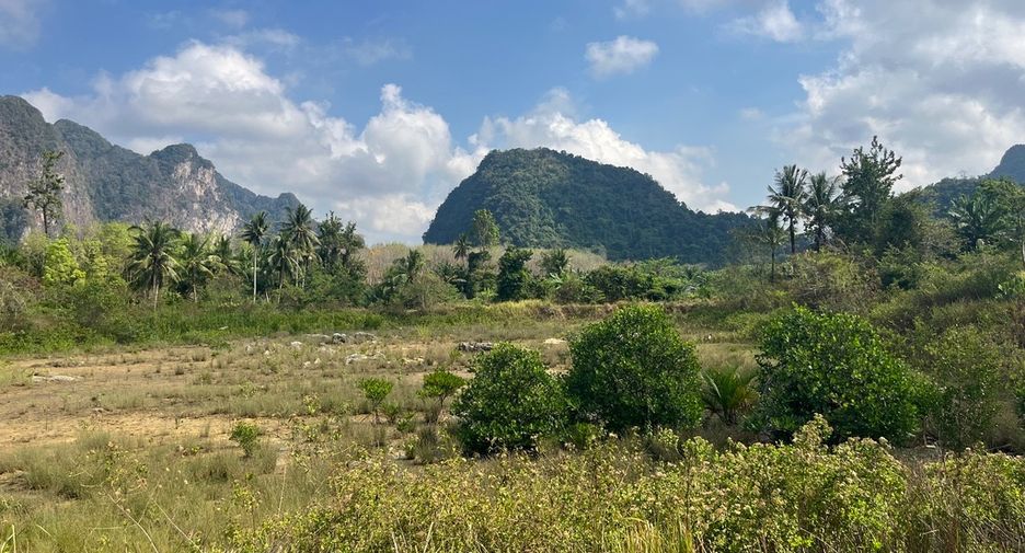 For sale land in Mueang Phangnga, Phang Nga