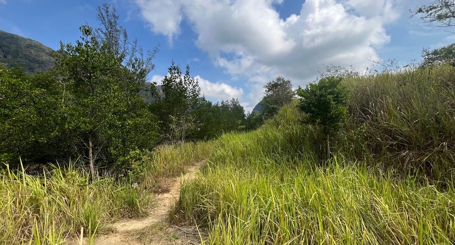 For sale land in Mueang Phangnga, Phang Nga