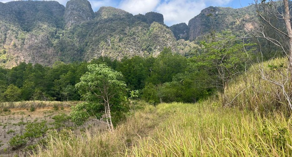 For sale land in Mueang Phangnga, Phang Nga